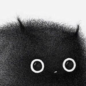 Meet your Posher, Edwin